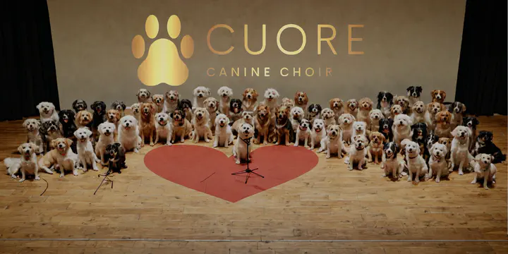 poster image for Cuore Canine Choir